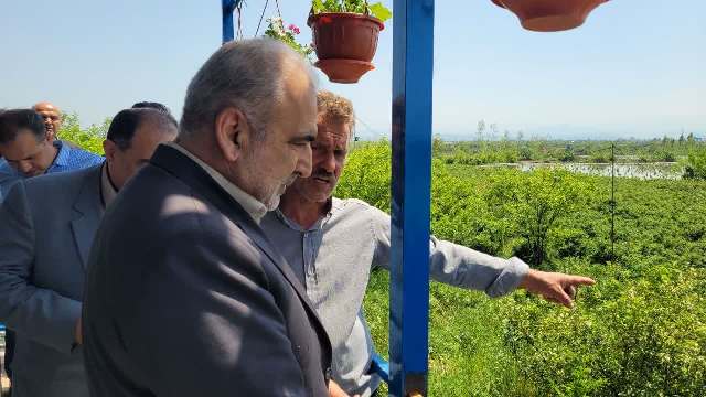 بازدید از  مزرعه گل محمدی حسن نتاج